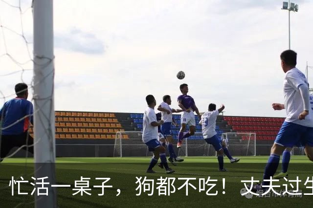 忙活一桌子，狗都不吃！丈夫过生日，妻子自我感动 ，网友吐槽
